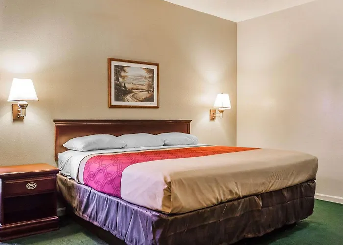 Econo & Granite - St Louis Hotel